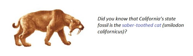 Image of California State Fossil - Saber-tooth cat